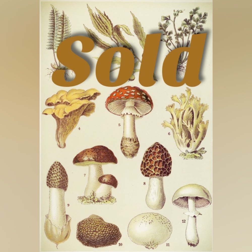 SOLD!